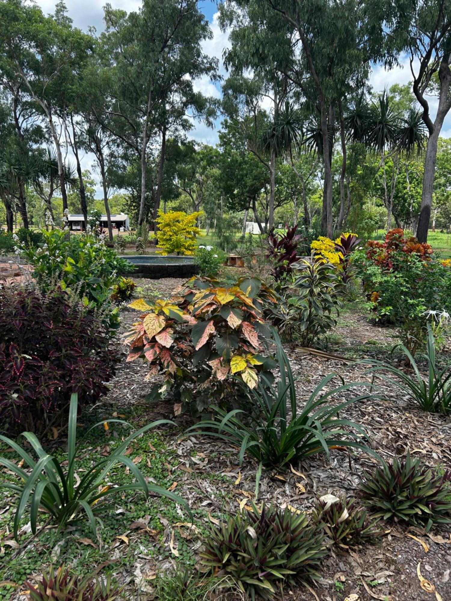 Litchfield Tropical Stay Batchelor Exterior foto