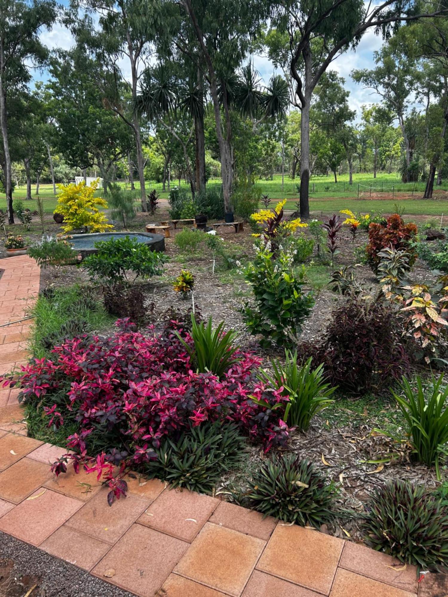 Litchfield Tropical Stay Batchelor Exterior foto
