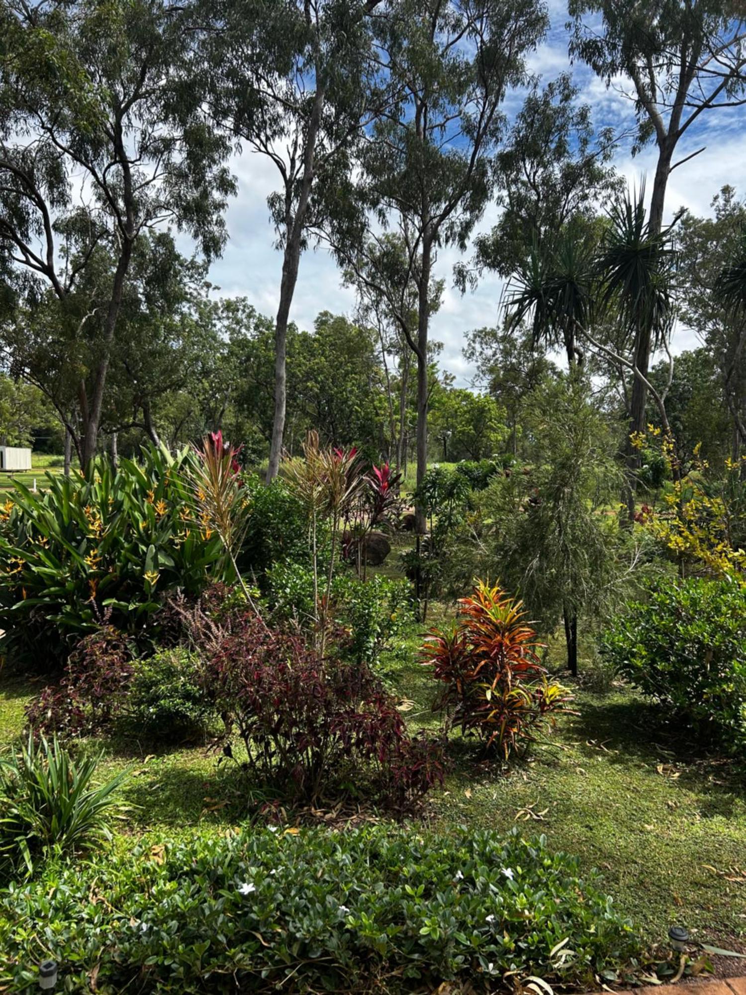 Litchfield Tropical Stay Batchelor Exterior foto