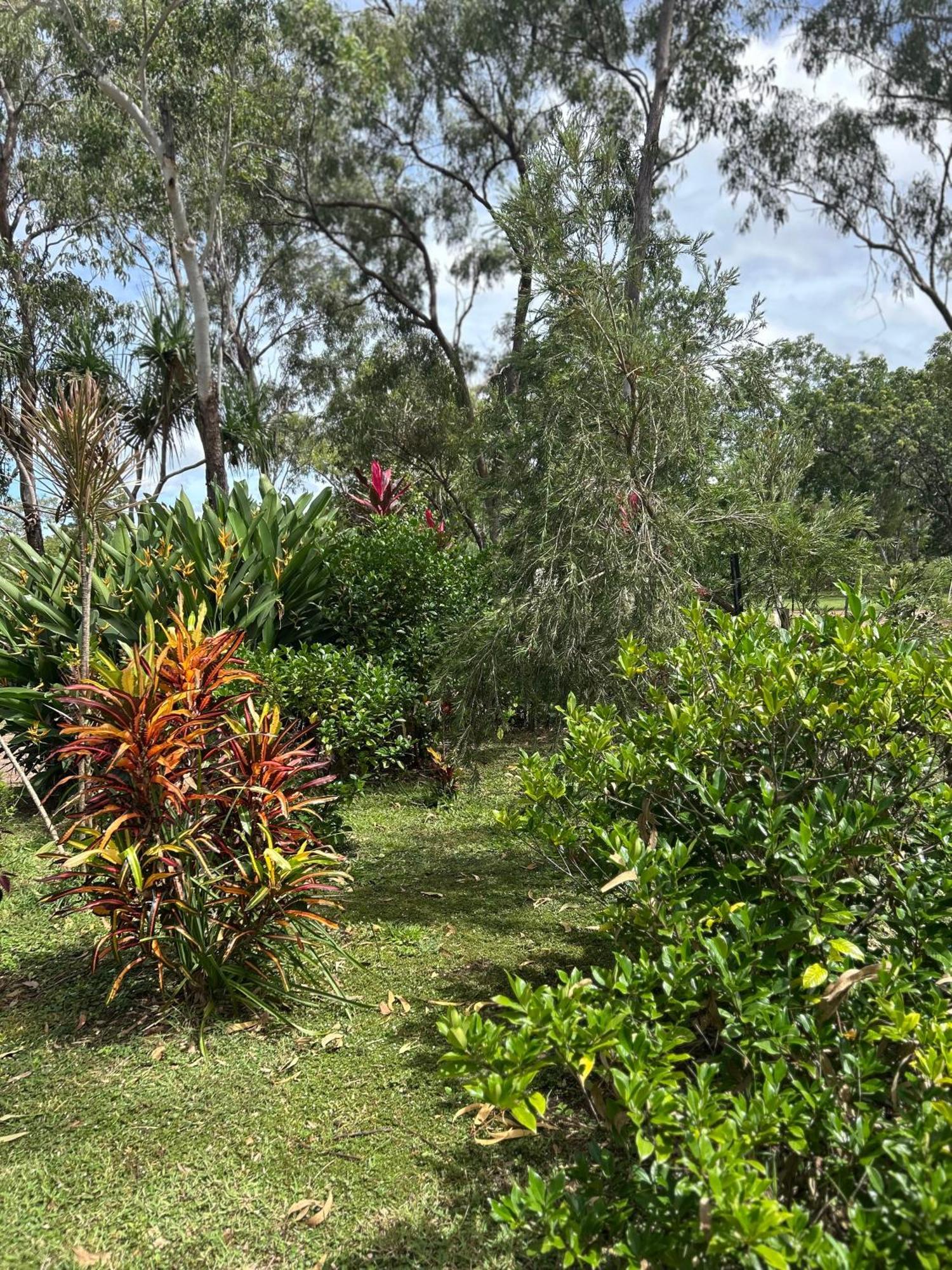 Litchfield Tropical Stay Batchelor Exterior foto